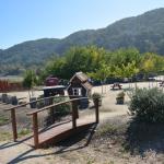 Cambria_2015_0137 (November 07, 2015)